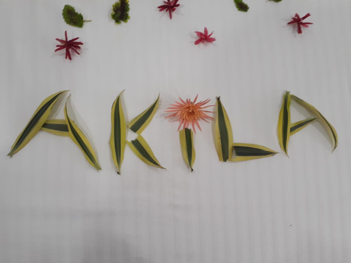 Akila Holiday Resort Habarana Eksteriør bilde