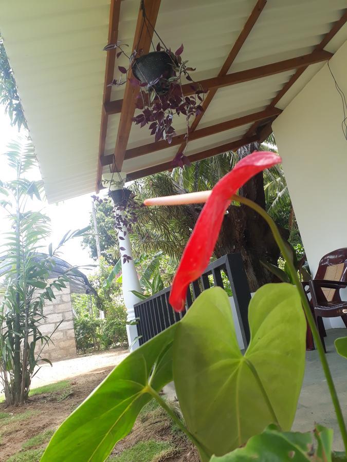 Akila Holiday Resort Habarana Eksteriør bilde